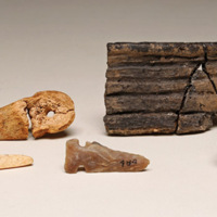 Hagen Site artifacts