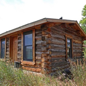 Alvin Young Barn and Cabin